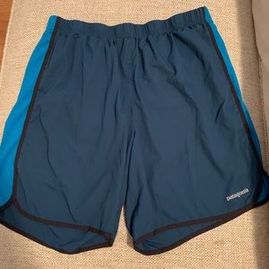 EUC: Patagonia Shorts